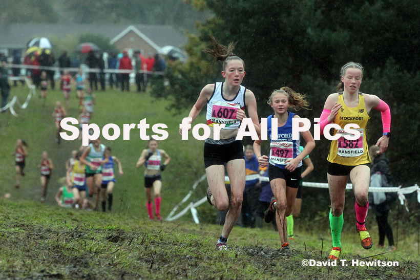 Girls under-13s, National Cross Country Relay Champs., Berry Hill Park, Mansfield.  Photo: David T. Hewitson/Sports for All Pics